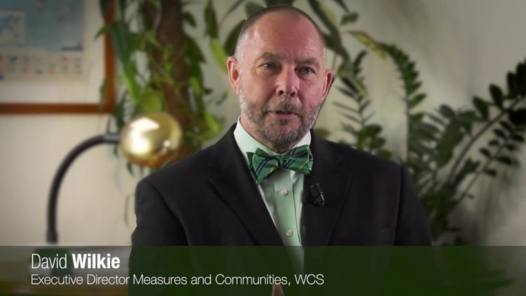 Interview with David Wilkie, Executive Director Measures and Communitie…