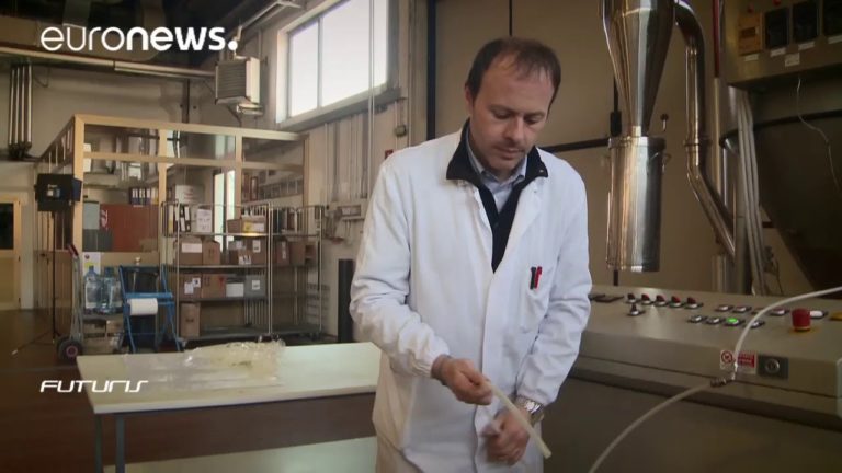 Legumes see new life in flowerpots – Futuris