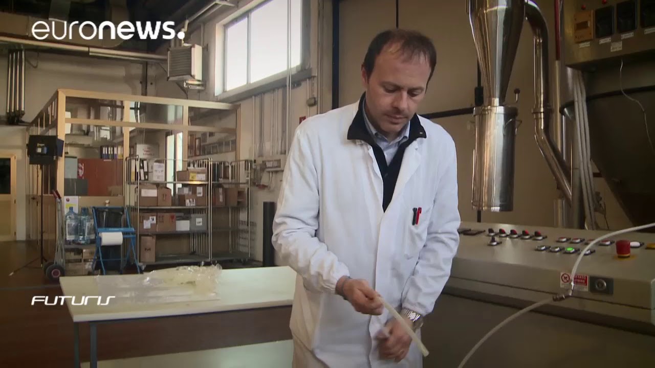 Legumes see new life in flowerpots – Futuris