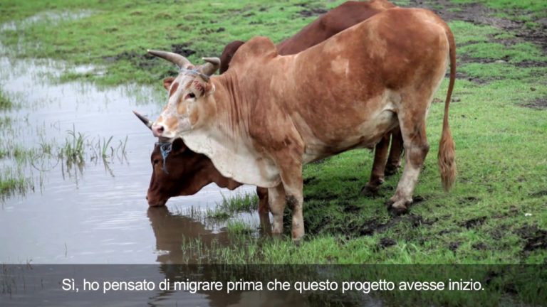 I giovani dell’Etiopia rurale e le alternative alla migrazione