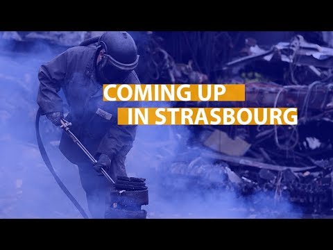 Coming up: Sakharov Prize, border checks, whistle-blowers and more