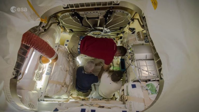 Packing Dragon (time-lapse)