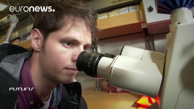 Scientists absorbed by deep-sea sponges – Futuris