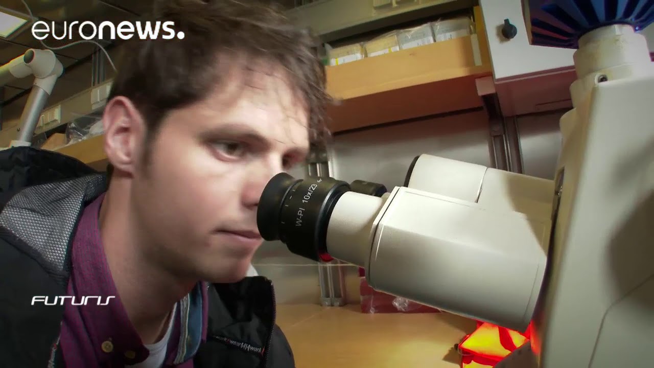 Scientists absorbed by deep-sea sponges – Futuris