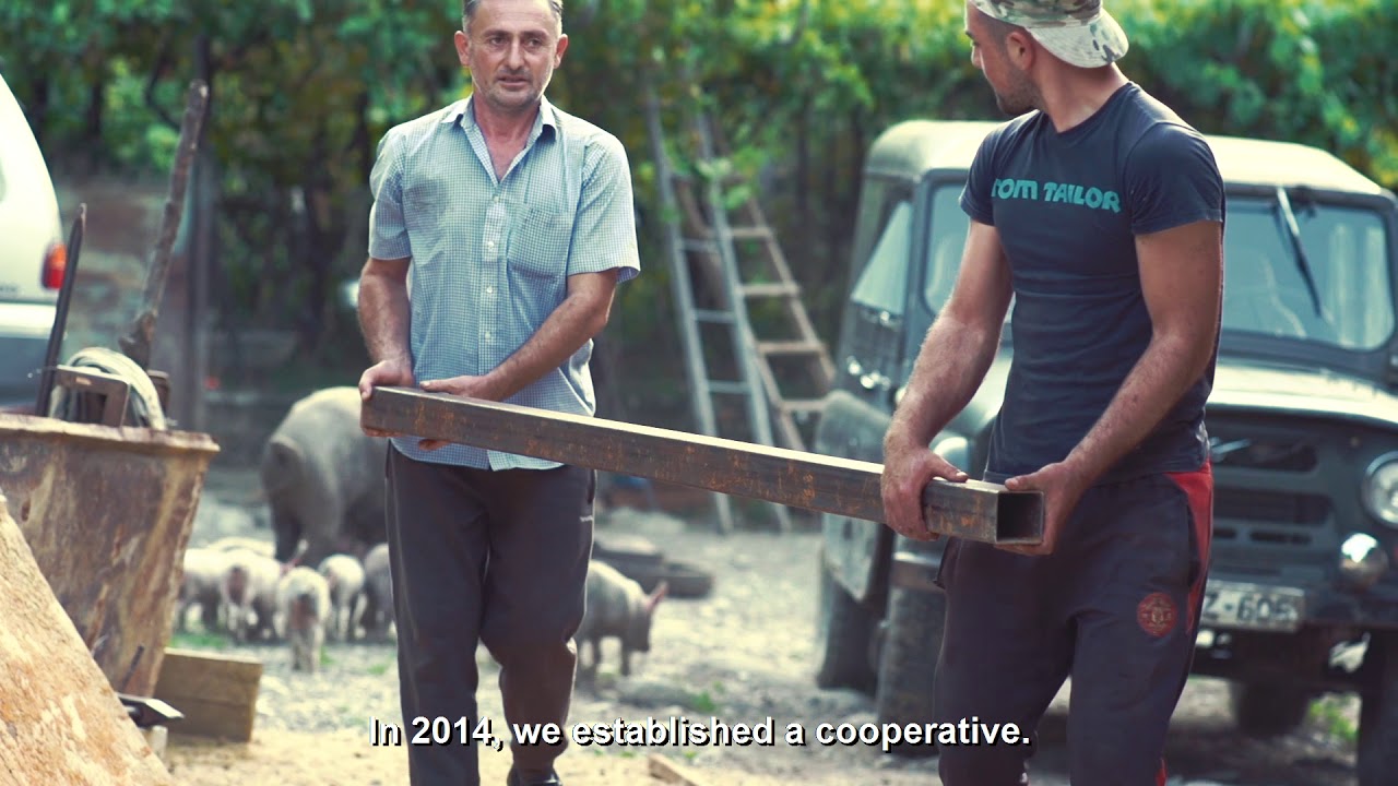 FAO – Supporting Rural Development in Racha-Lechkhumi and Kvemo Svaneti…