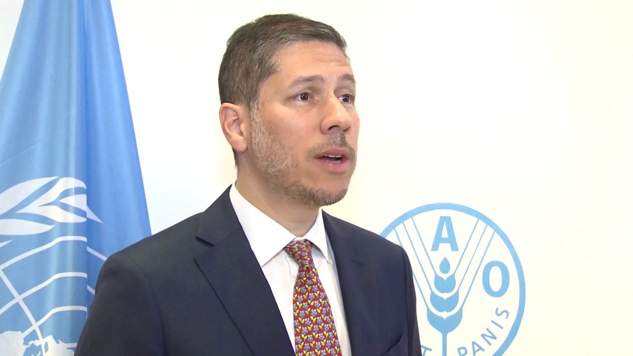 Remarks by the Committee on World Food Security (CFS) Chairperson, Mari…