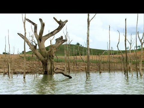 COP23: a step further