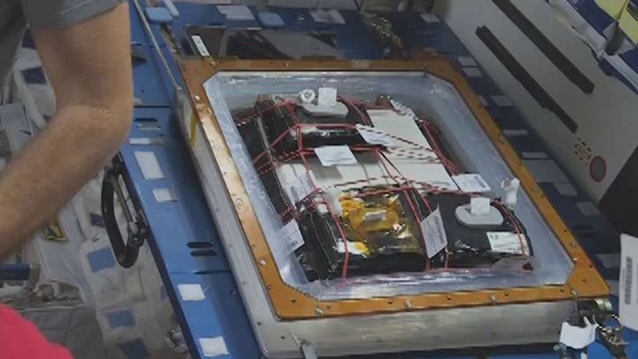 Not one…not two…but THREE types of lettuce will soon be spro…