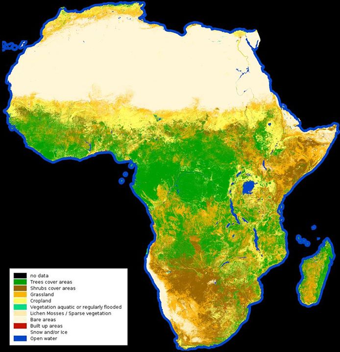 From the barren Sahara to lush jungles, the first high-resolution map classifyin…
