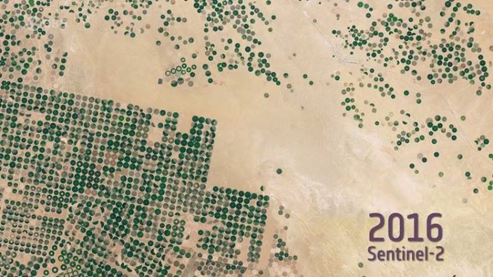 #WorldFoodDay
Some 30 years ago, the barren landscape of Saudi Arabia’s Wadi As…