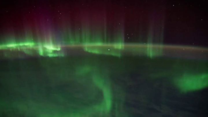 Did you know that genes turn themselves on and off in space?…