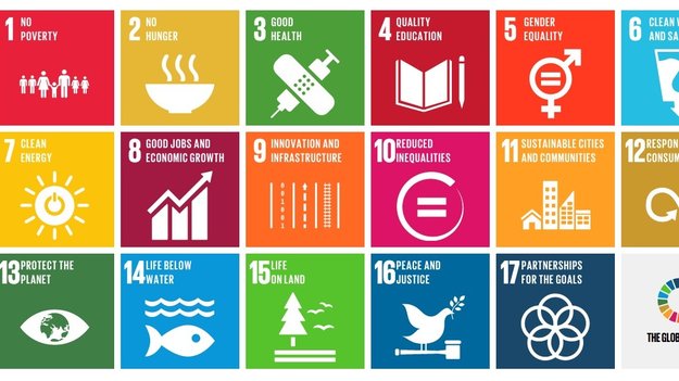 ESA and the Sustainable Development Goals