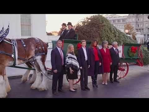 First Lady Melania Trump and Barron Trump Receive the White House Christmas Tree