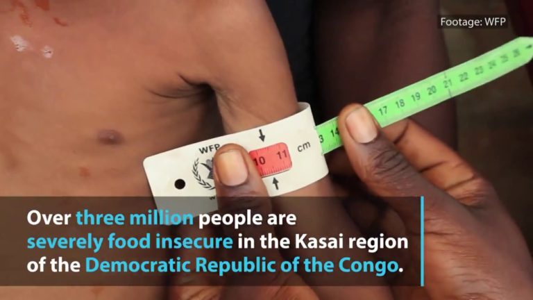 WFP chief warns of impending humanitarian disaster in DR Congo