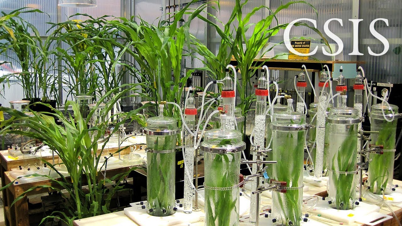 The 2018 Farm Bill: Ensuring U.S. Leadership in Agricultural Research a…