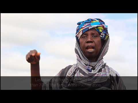 Voices from the field, Gambia (2)