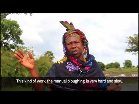 Voices from the field, Gambia (5)