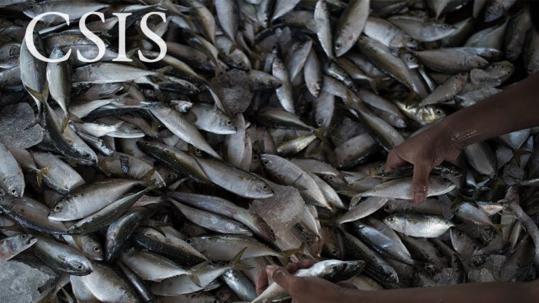 Report Launch: Illegal, Unreported, and Unregulated Fishing as a Natio…
