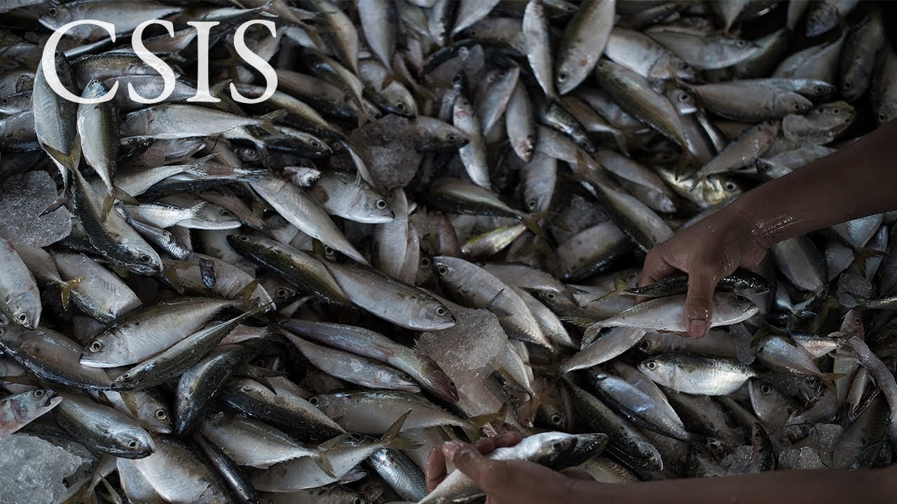 Report Launch: Illegal, Unreported, and Unregulated Fishing as a Natio…