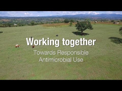 Working together towards responsible antimicrobial use