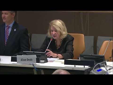 DPI/NGO Fall Orientation – Remarks by Alison Smale (Global Communications)