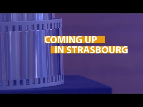 Coming up: Lux prize winner, road safety measures and Paradise Papers