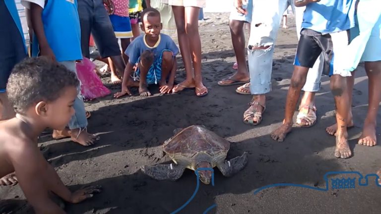 Perspectives on Blue Economy and Blue Growth