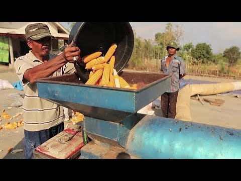 Farming with Conservation Agriculture in Indonesia