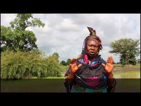 Voices from the field, Gambia “The impacts of climate change on small-s…