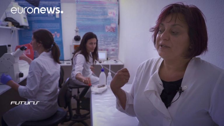 Fish in a new climate – Futuris