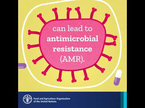 Antimicrobial resistance is a global threat that requires a global resp…