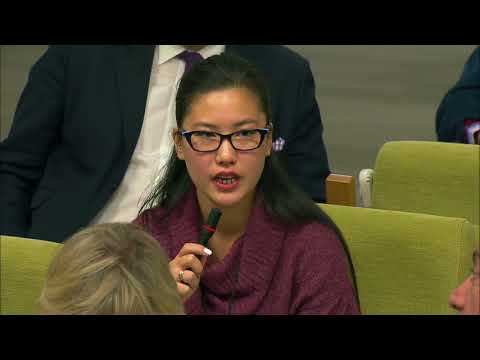 The situation in Yemen & other topics – Daily Briefing (14 November 2017)