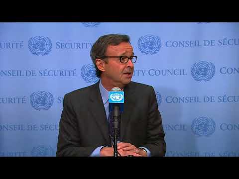 SC President (Italy) on Sudan, South Sudan and other topics – Media Stakeout (15 November 2017)