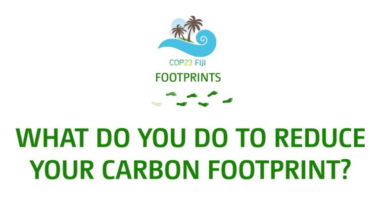 What do you do to reduce your carbon footprint?