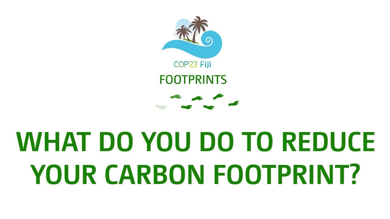 What do you do to reduce your carbon footprint?