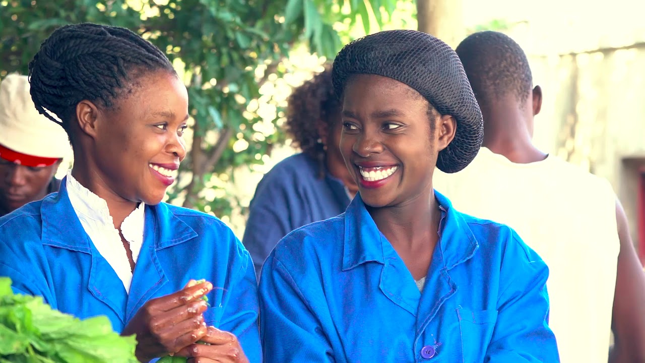 How skills development is changing lives in Eastern and Southern Afric…