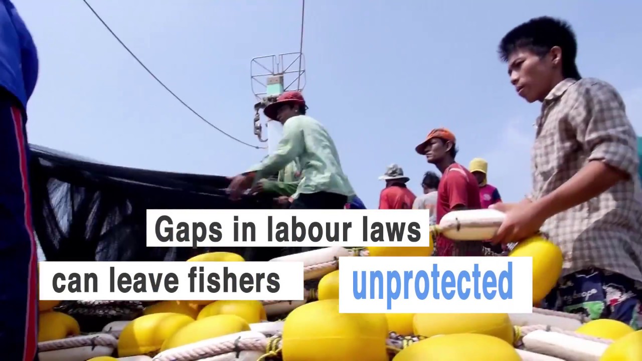 Convention on working conditions on fishing vessels enters into force