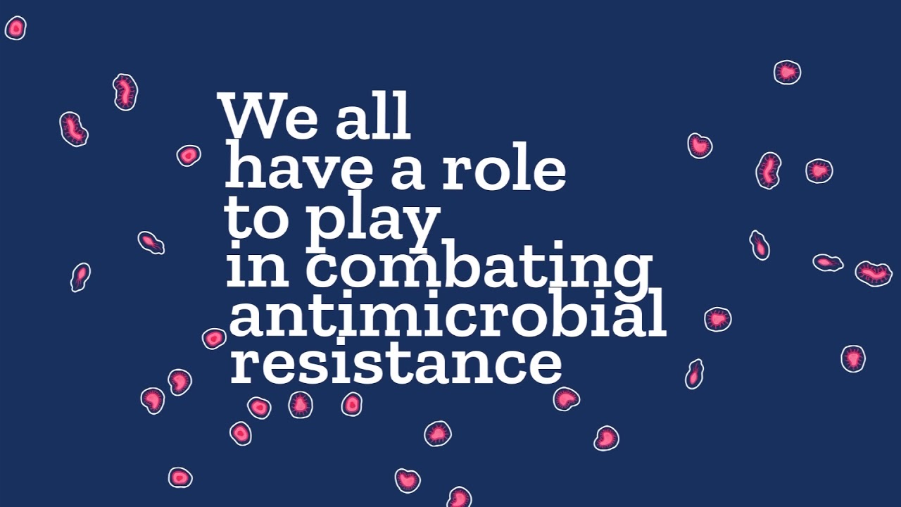Watch our video series for World Antibiotic Awareness Week!