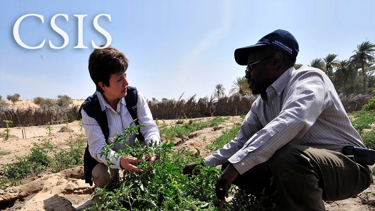 The Role of Women in Global Poverty Reduction: A Conversation with Dr….