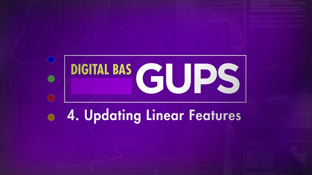 BAS: Digital BAS-GUPS 4. Updating Linear Features