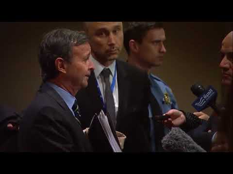 Sebastiano Cardi (Italy) on the situation in the Middle East – Media Stakeout (16 November 2017)