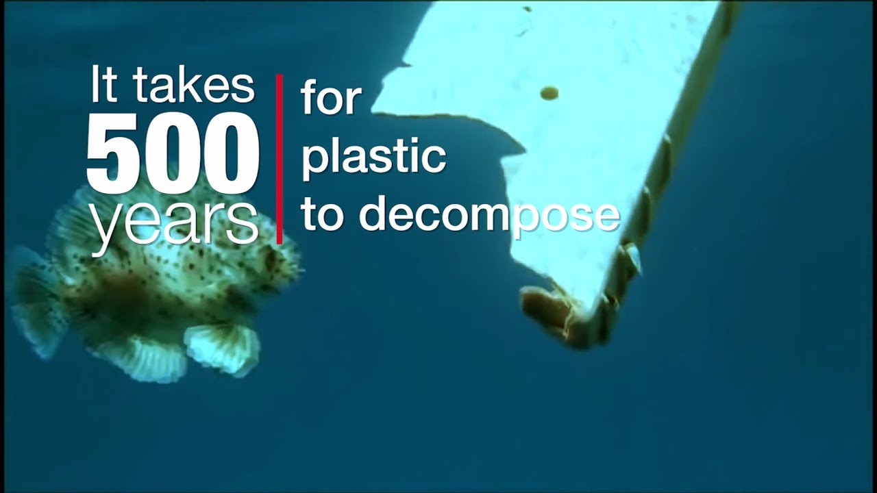 Combatting plastic pollution with sustainable bio-based packaging