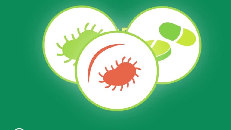 Antimicrobial Resistance. The role of food and agriculture