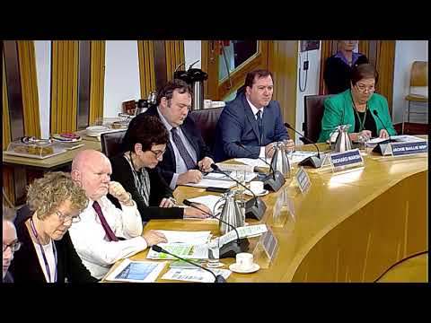 Economy, Jobs and Fair Work Committee – 21 November 2017