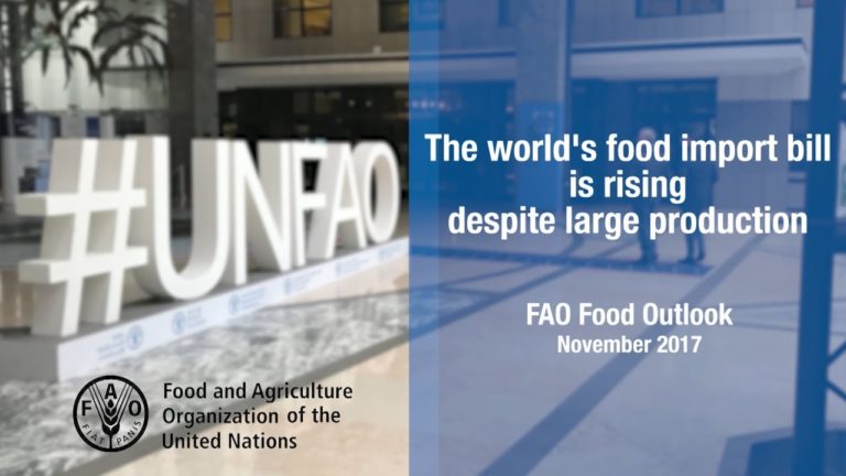 FAO Food Outlook, November 2017