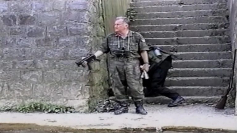 UN rights chief welcomes conviction of Ratko Mladic