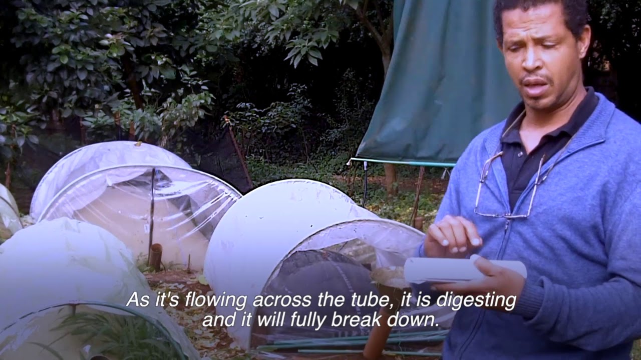 RURAL SOLUTIONS – Biogas in Kenya