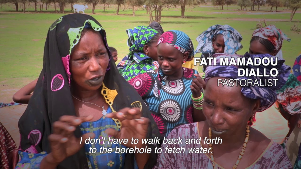 RURAL SOLUTIONS – Pastoral Units in Senegal