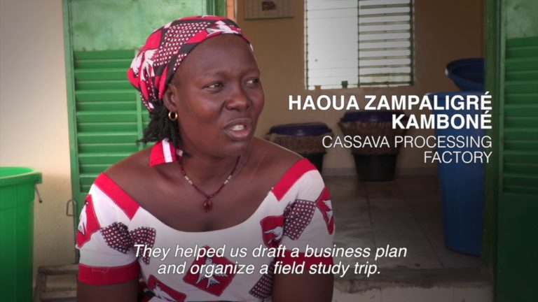 RURAL SOLUTIONS – CREERs in Burkina Faso