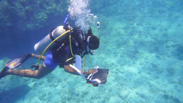 Seychelles: Women at the Forefront of Conservation